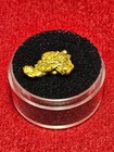 California Natural Gold Nugget  3.1  Grams in a Gem jar w/lid — photo 1