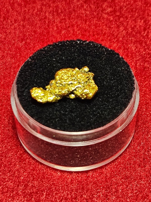California Natural Gold Nugget  3.1  Grams in a Gem jar w/lid