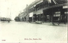 Stores on Morley Ave., Nogales AZ; horse water trough for Int'l Drug Store; 1911
