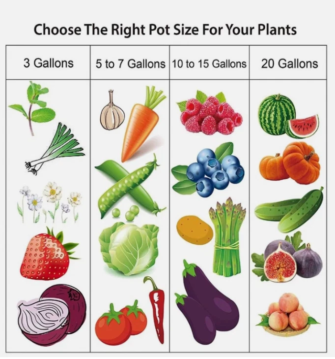 Paquete de 5 bolsas de cultivo de plantas bolsa de suelo de vivero para maceta de tela con asas engrosadas no tejidas Foto 4 de 4