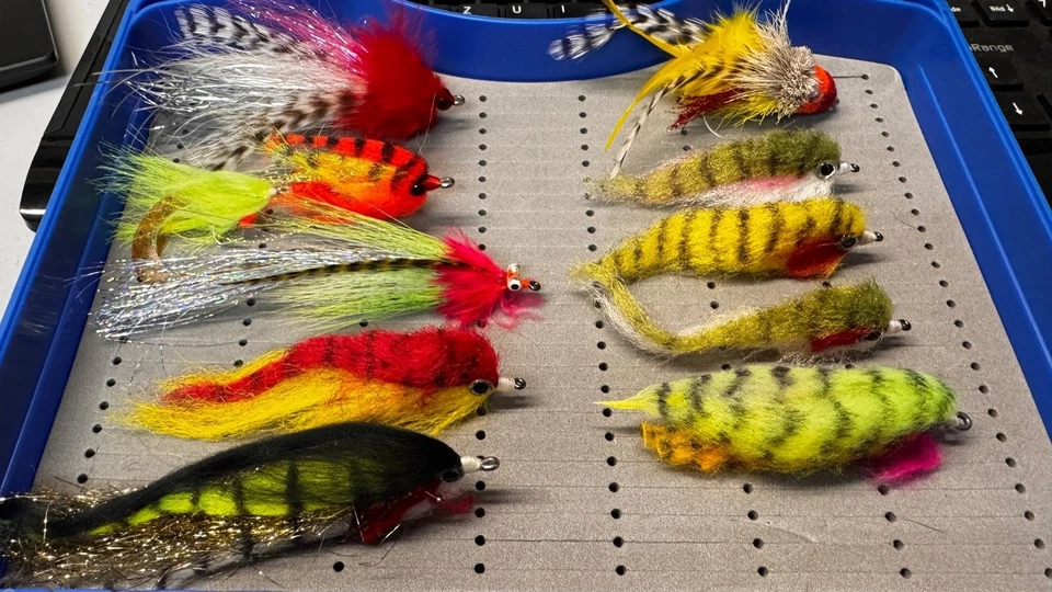 22 Hecht Streamer in der Box, Fliegenfischen, Angeln, Fischen, Forelle, Saibling - Bild 3 von 4