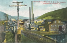 Galeton PA * Hardwood Mill with B.&S. RR Cars Shops in Background 1915