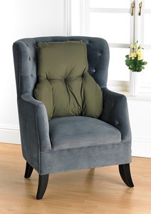 ebay back support cushion