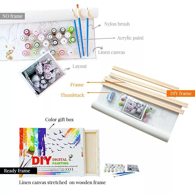 Paint By Numbers Adults kids Colorful Ostrich DIY Painting Kit 40x50CM  Canvas