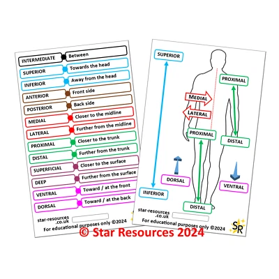 STAR RESOURCES Orientation & Directional Terms ID Badge Flash Card Student Paramedics Ambulance