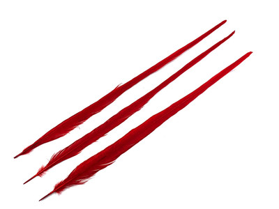 10 Feathers | 18-22'' Red Bleached & Dyed Long Ringneck Pheasant Tail Halloween