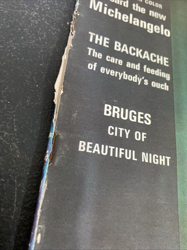 Life International Magazine THE PRIVATE LIFE OF PRIMATES 3 May 1965 vol 38 no 8 - Picture 2 of 7