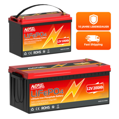 12V 24V 300Ah 200Ah 100Ah LiFePO4 Lithium Batterie BMS RV Solar Wohnmobil Boot 