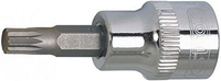 1/2'' Tx-Bit-Stecknuss 55Mm X T50, Auf HäNger