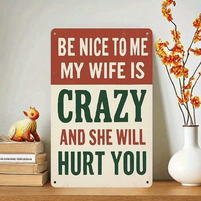 2D Flat, Vintage Tin Metal Signs Home Décor Humorous Warning ''Be Nice to Me, My 