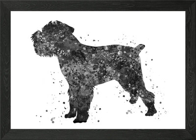 Brüsseler Griffon gerahmtes Wandbild Poster Leinwanddruck Bild