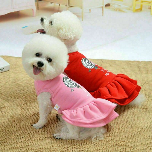 Pet Puppy Small Dog Clothes Cat Lace Tutu Skirt Princess Dress Dog Vest Shirt + - Picture 10 of 31