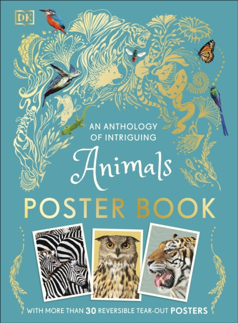 An Anthology of Intriguing Animals Poster Book by DK (Paperback Book)