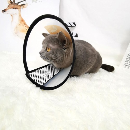 Pet Protective Collar Cat Dog Anti-lick Cone Wound Healing Recovery Elizabethan - Picture 4 of 21