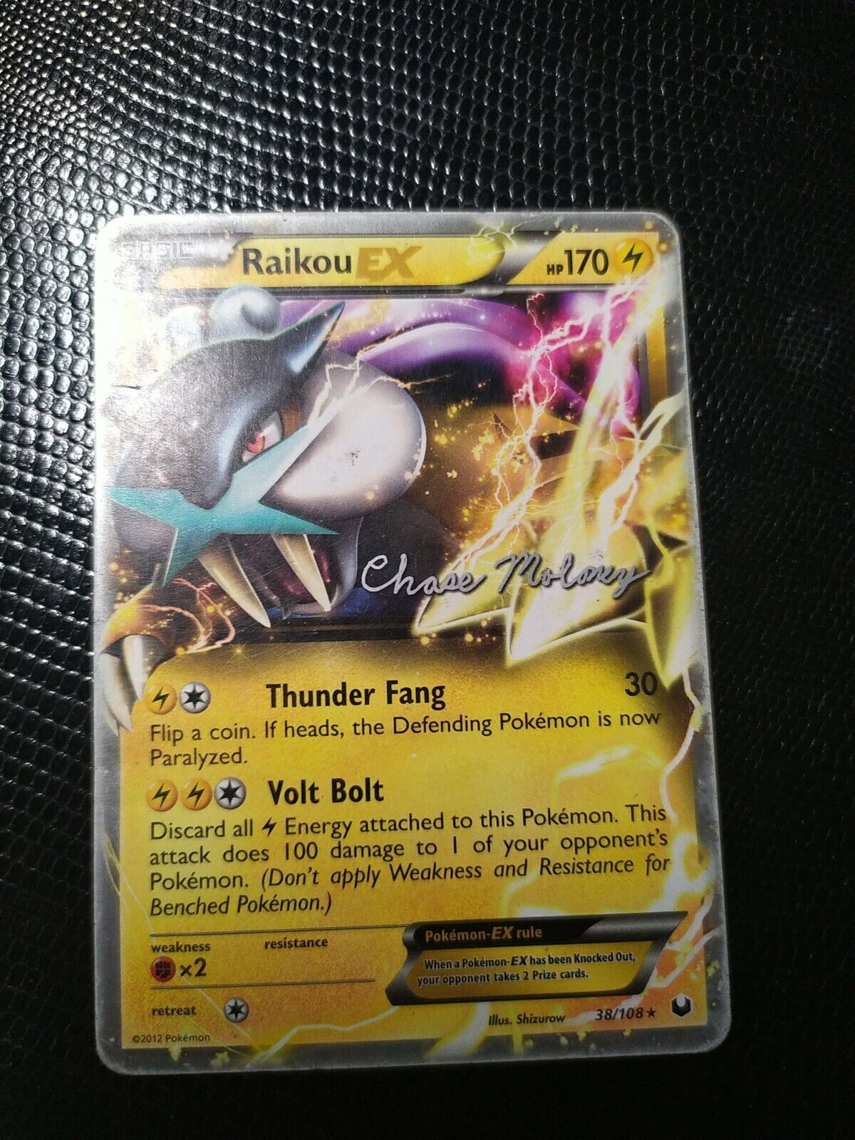 Raikou EX - 2012 (Chase Moloney, #38/108) - Paragon City Games