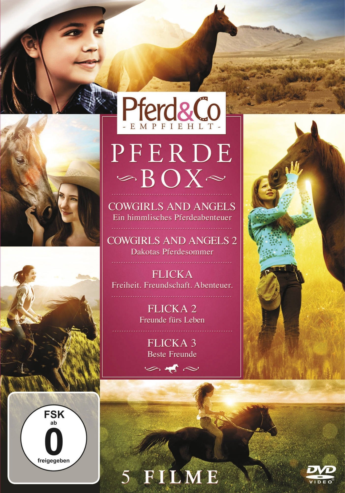 Pferde Box (DVD)