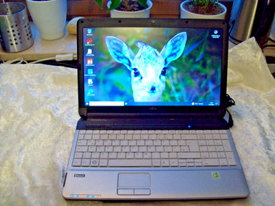 Fujitsu Lifebook A530,Intel Core i5-450M, 2666 MHz, HD 500GB, 4G Ram,HD Graphics