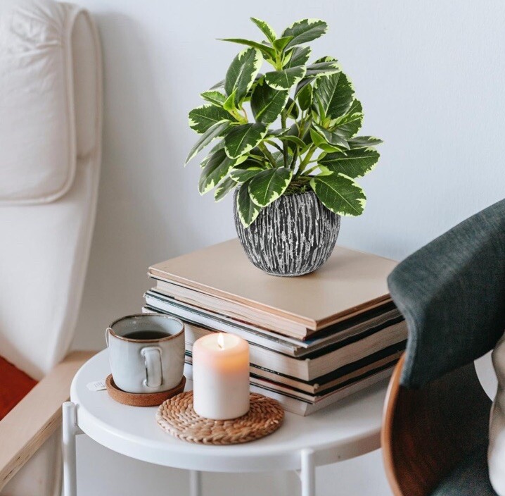 Faux Variegated Oak Leaf Artificial Plant for Indoor Outdoor Coffee Table Decor  -image