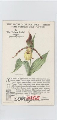 1930s Coca-Cola The World of Nature Series IV: Some Common Wild Flowers #6 2w3