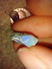 7 Tcw Rough Australian Lightning Ridge Split Multi Color Opal Water — photo 8