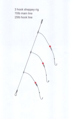 4x 3 Circle Hook No 3/0 Sheppey Meeresangeln Rigs