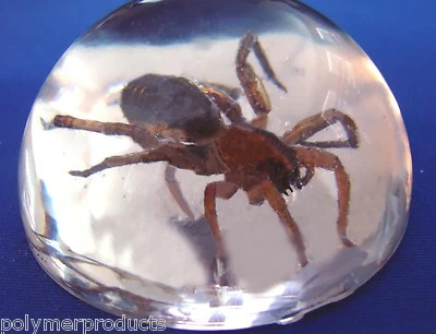 MAX EPOXY SYSTEM EPOXY RESIN CRYSTAL CLEAR CASTING COATING & LAMINATING 4 CARBON & FIBERGLASS 96!