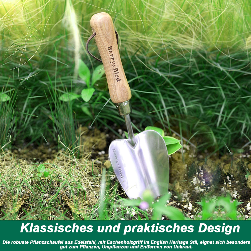 Bild 5 von 7