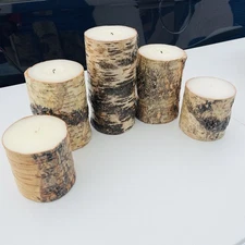 Lot of 5 — POTTERY BARN Birch Bark Real Wax Pillar Candle Unscented Cabin Decor