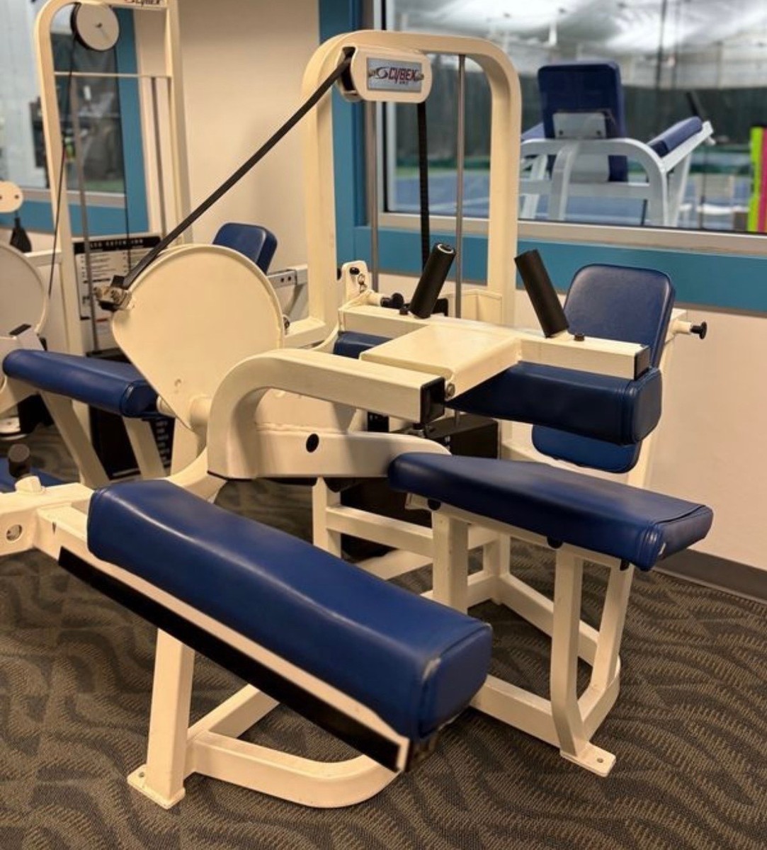 Cybex | VR2 Seated Leg Curl | eBay