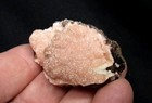 1.75" RHODOCHROSITE from Potosi mine, level 10, Santa Eulalia, Chihuahua, Mexico — photo 1