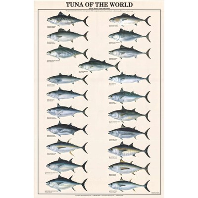 Tuna of the World Poster