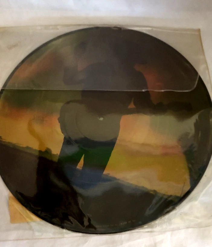 STEVIE RAY VAUGHAN Couldn't Stand the Weather (1984) LP Picture Vinyl Album - Image 2 of 4