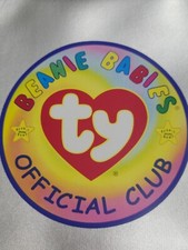 Beanie Babies Carring Case Silver And Clear 11x8