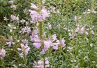Bild 5 von 5