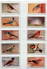 Gallaher: Zoo Tropical Birds 2nd Series 1929 Full Set 50 Cigarette Cards
