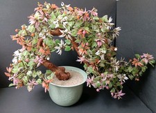 Large Vintage Asian Jade Hardstone Bonsai Tree, Celadon Ceramic Pot, READ