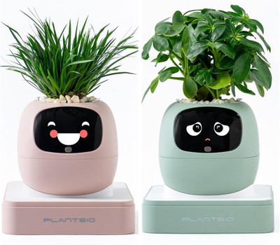 Smart 2G Ivy Flower Pot - Your Plant Care Companion with Emojis