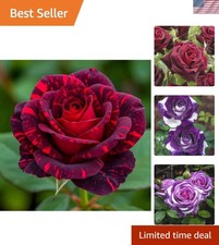 150 Rare Rose Seeds for Planting - Heirloom Rose Seeds Bushes Gardening Bush...