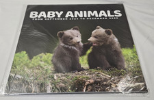 2024-2025 Baby Animals Large Hanging Wall Calendar- 12  x12  -new/sealed