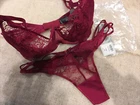Ex Boux Avenue Luxury Bra Set Raspberry Embroidered Roses Sz 32 DD/E Thong 8-10