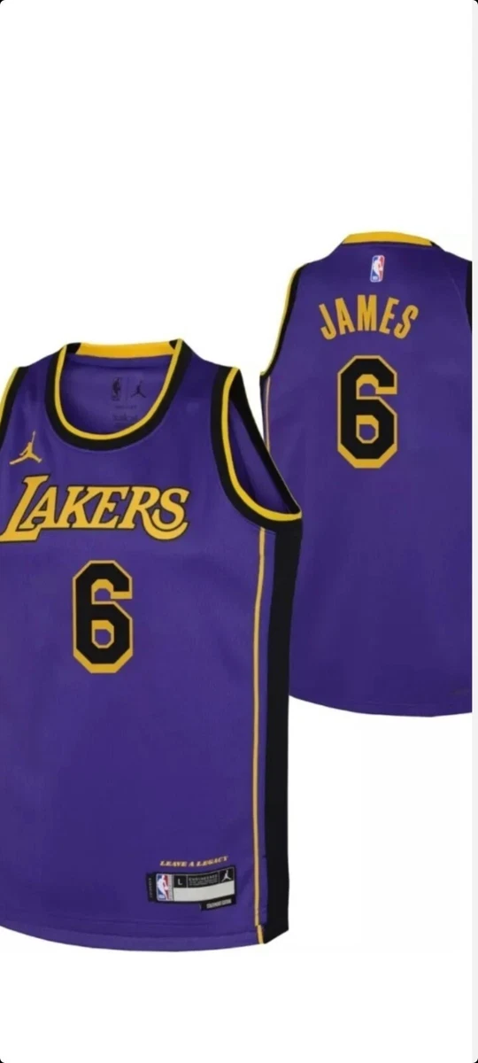 Nike Men's Los Angeles Lakers Purple LeBron James #6 Dri-FIT