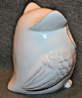 Picture 6 of 13