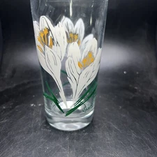 1950's Boscul Peanut Butter 5" Glass - White Spring Crocus