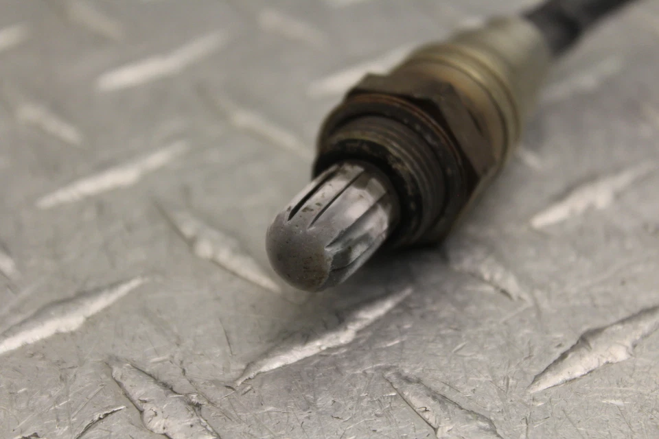 Harley-Davidson Dyna Street Bob 2010 EFI FXDBI oxígeno O2 gases de escape Lambda Foto 3 de 4