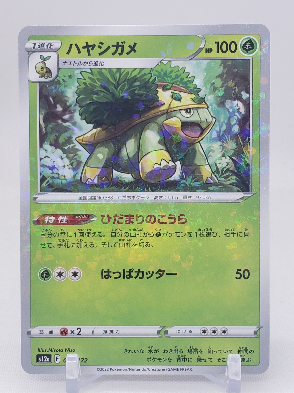 Grotle Reverse 7/172 S12a V Star Universe Japanese Pokemon Card US SELLER