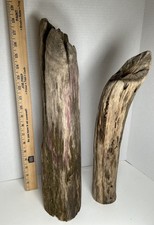 Driftwood 2 Piece Aquarium terrarium beach decor taxidermy Centerpieces