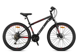 Mountainbike 24Zoll Gebraucht | eBay.de