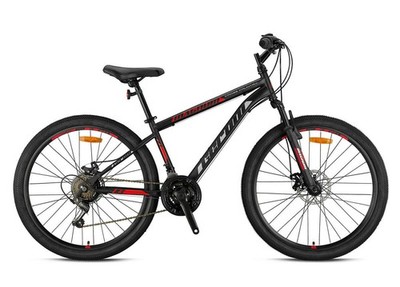 24 Zoll Mountainbike Kinder MTB Fahrrad Kinderfahrrad Scheibenbremse Disc Bike
