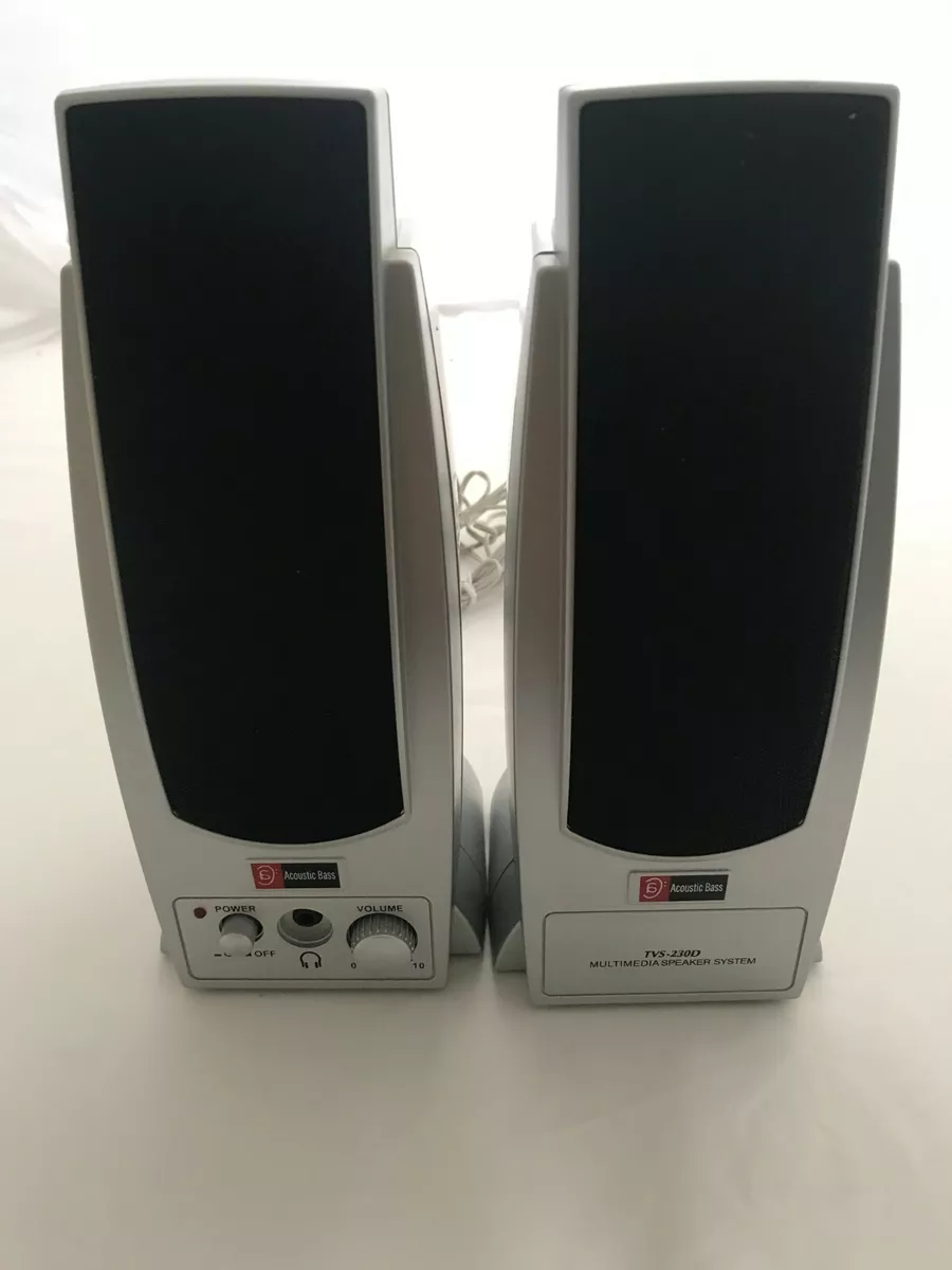 Bass acoustic store speakers