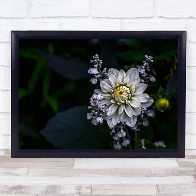 Wandkunstdruck Dahlie Blumen Garten Blütenblätter weiß Blumen